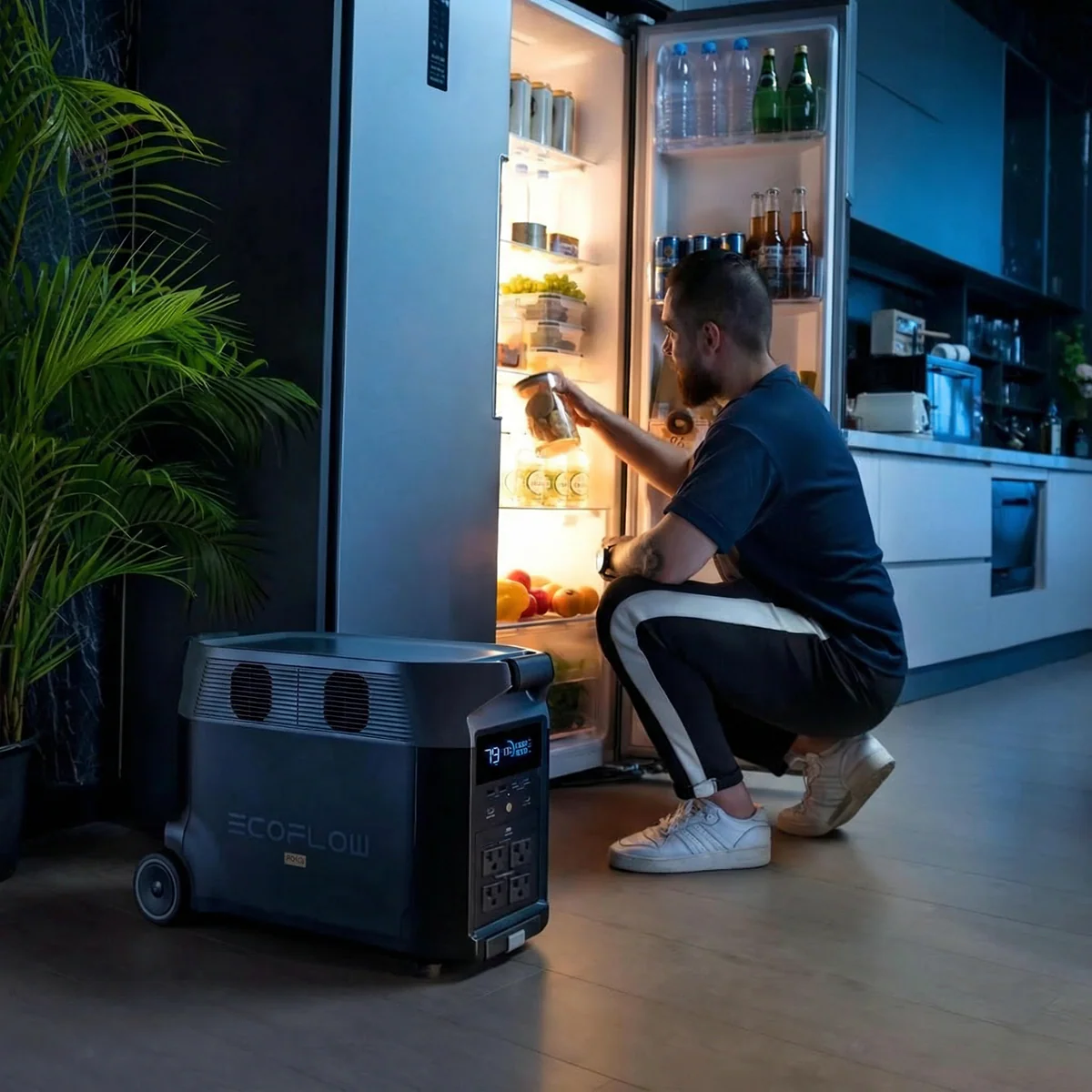 DELTA 2 Pro (3600Wh) - Image 5
